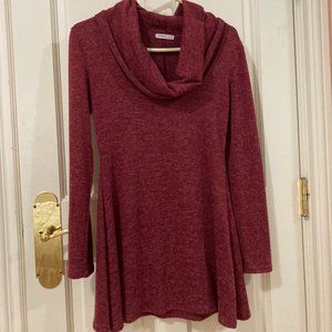 Long Sweater Turtleneck